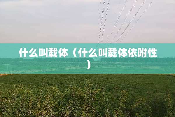 什么叫载体（什么叫载体依附性）
