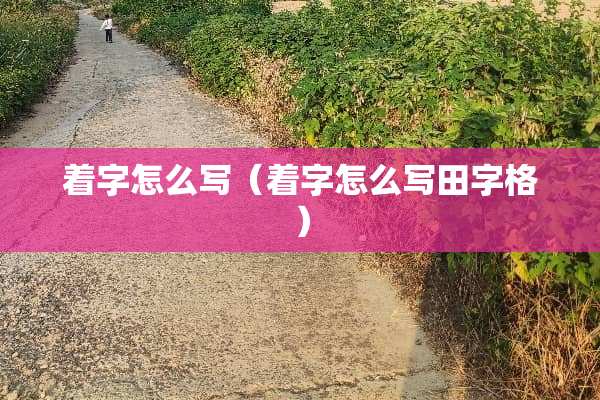 着字怎么写（着字怎么写田字格）