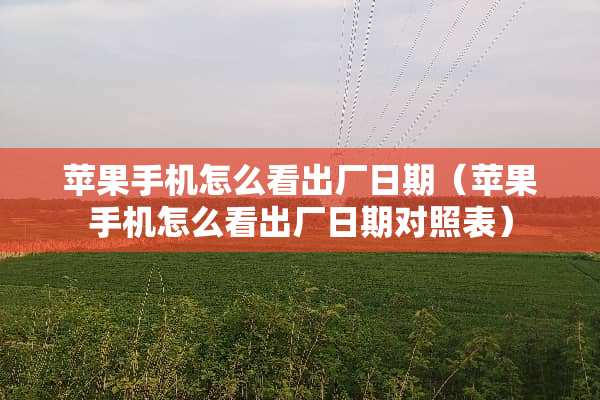 苹果手机怎么看出厂日期（苹果手机怎么看出厂日期对照表）