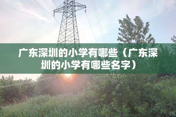 广东深圳的小学有哪些（广东深圳的小学有哪些名字）