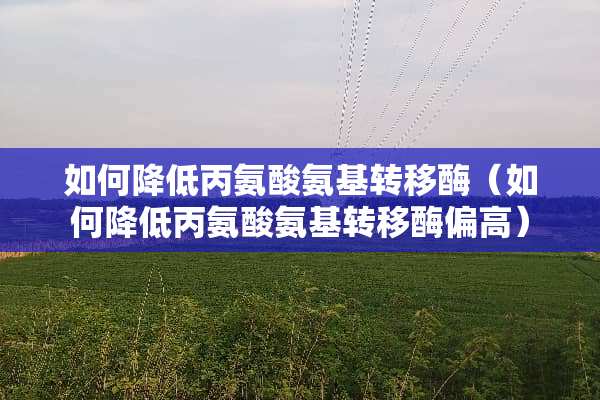 如何降低丙氨酸氨基转移酶（如何降低丙氨酸氨基转移酶偏高）