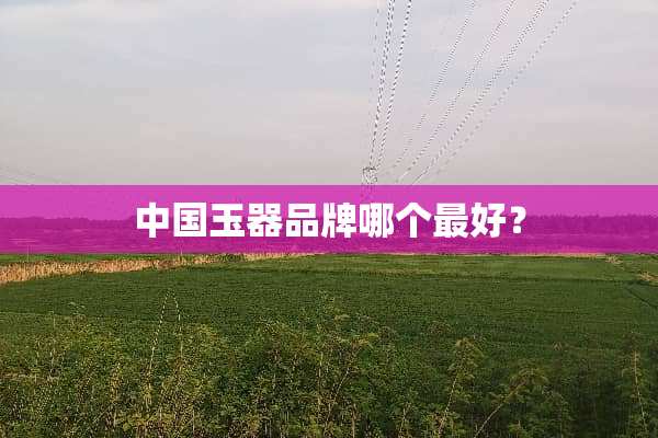 中国玉器品牌哪个最好？