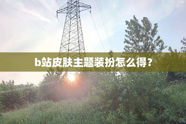 b站皮肤主题装扮怎么得？