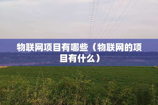 物联网项目有哪些（物联网的项目有什么）