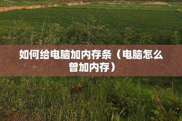 如何给电脑加内存条（电脑怎么曾加内存）