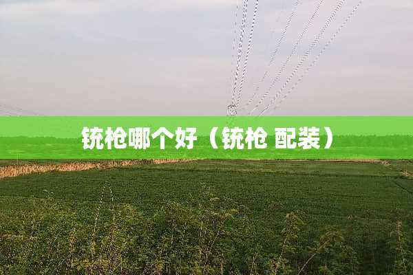 铳*哪个好（铳* 配装）