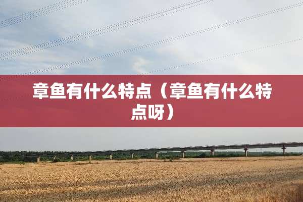 章鱼有什么特点（章鱼有什么特点呀）
