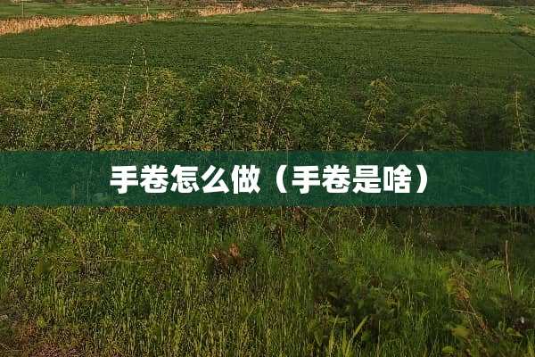 手卷怎么做（手卷是啥）