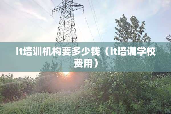 it培训机构要多少钱（it培训学校费用）