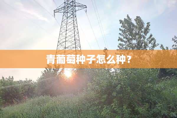 青葡萄种子怎么种？