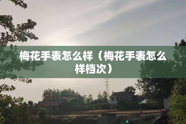 梅花手表怎么样（梅花手表怎么样档次）
