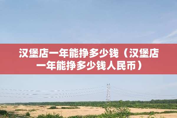 汉堡店一年能挣多少钱（汉堡店一年能挣多少钱人民币）