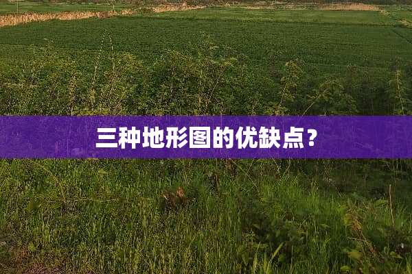 三种地形图的优缺点？