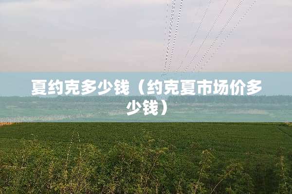 夏约克多少钱（约克夏市场价多少钱）