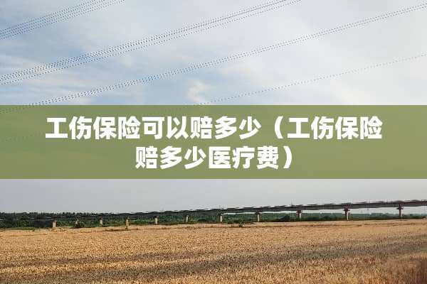 工伤保险可以赔多少（工伤保险赔多少医疗费）