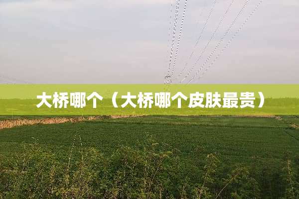 大桥哪个（大桥哪个皮肤最贵）