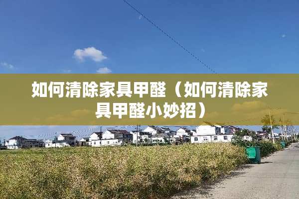 如何清除家具甲醛（如何清除家具甲醛小妙招）