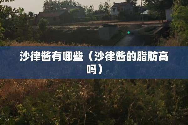 沙律酱有哪些（沙律酱的脂肪高吗）