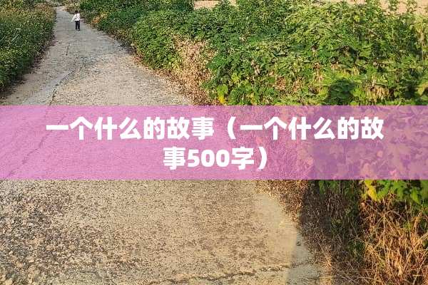 一个什么的故事（一个什么的故事500字）