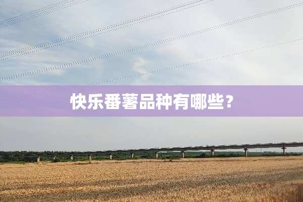 快乐番薯品种有哪些？