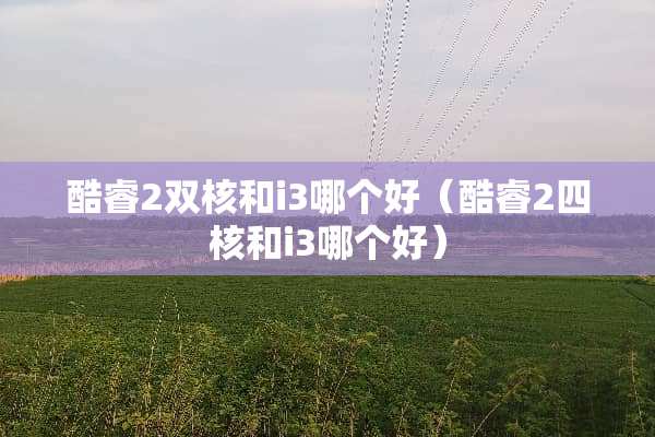 酷睿2双核和i3哪个好（酷睿2四核和i3哪个好）