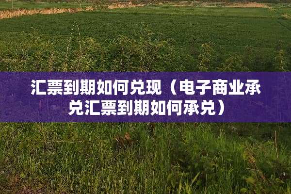 汇票到期如何兑现（电子商业承兑汇票到期如何承兑）
