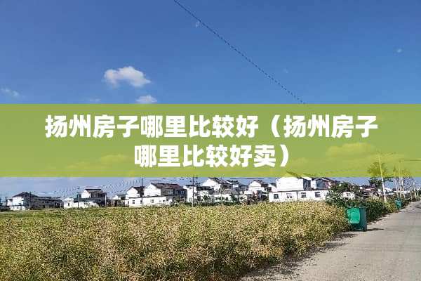 扬州房子哪里比较好（扬州房子哪里比较好卖）