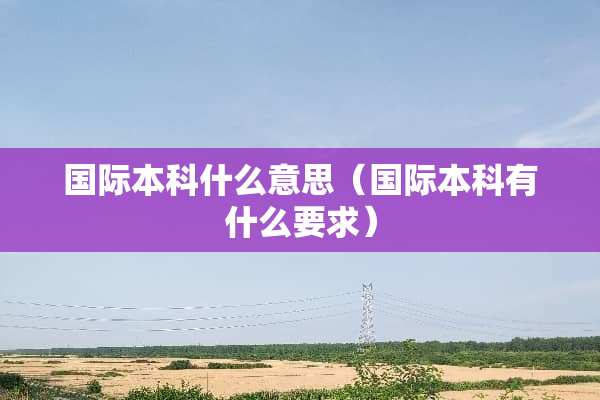 国际本科什么意思（国际本科有什么要求）