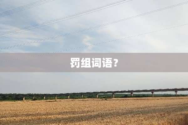 罚组词语？