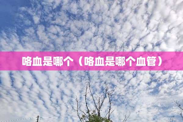 咯血是哪个（咯血是哪个血管）
