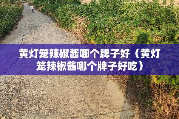 黄灯笼辣椒酱哪个牌子好（黄灯笼辣椒酱哪个牌子好吃）
