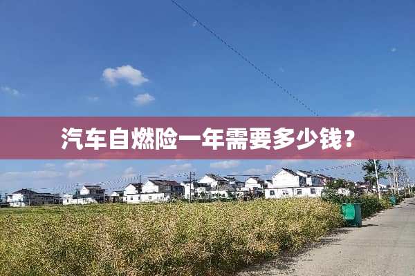 汽车自燃险一年需要多少钱？
