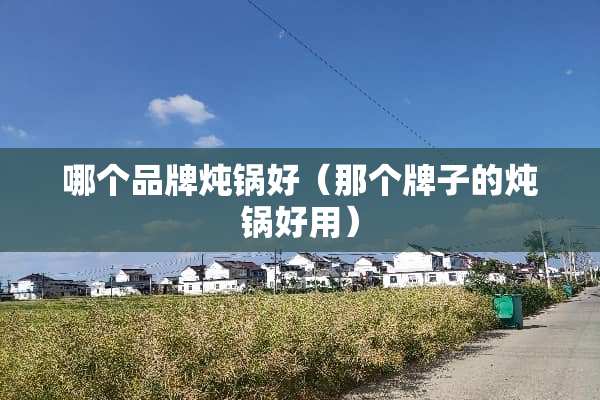 哪个品牌炖锅好（那个牌子的炖锅好用）