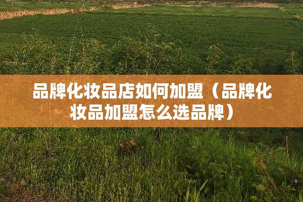品牌化妆品店如何加盟（品牌化妆品加盟怎么选品牌）