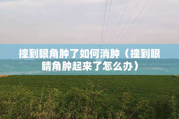 撞到眼角肿了如何消肿（撞到眼睛角肿起来了怎么办）