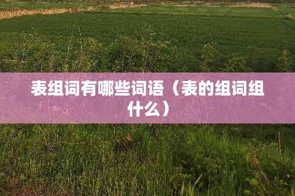 表组词有哪些词语（表的组词组什么）