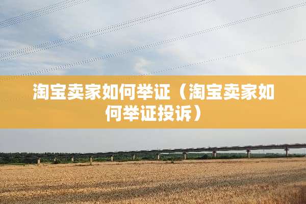 淘宝卖家如何举证（淘宝卖家如何举证投诉）