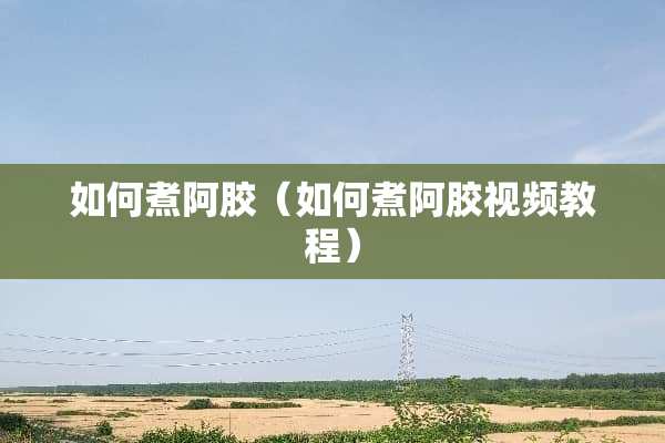 如何煮阿胶（如何煮阿胶视频教程）