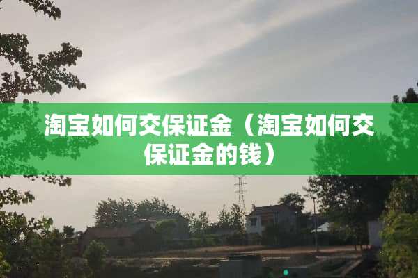 淘宝如何交保证金（淘宝如何交保证金的钱）