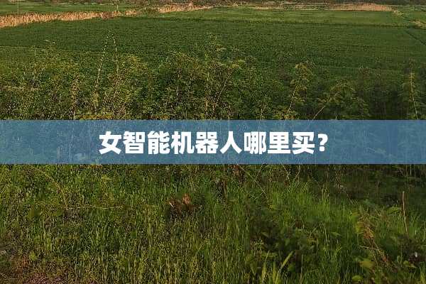 女智能机器人哪里买？
