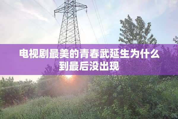 电视剧最美的青春武延生为什么到最后没出现