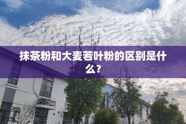 抹茶粉和大麦若叶粉的区别是什么？