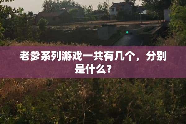 老爹系列游戏一共有几个，分别是什么？