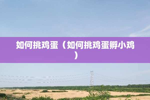 如何挑鸡蛋（如何挑鸡蛋孵小鸡）
