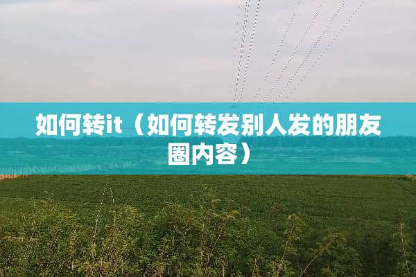 如何转it（如何转发别人发的朋友圈内容）