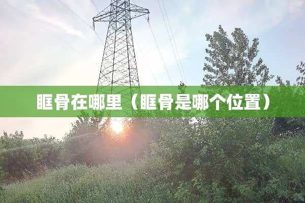 眶骨在哪里（眶骨是哪个位置）