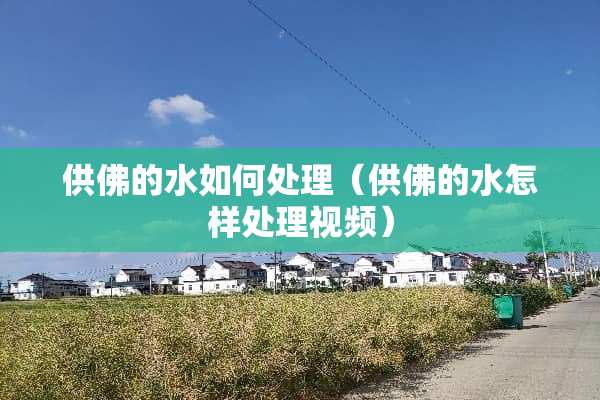 供佛的水如何处理（供佛的水怎样处理视频）