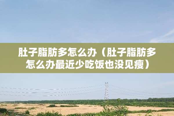 肚子脂肪多怎么办（肚子脂肪多怎么办最近少吃饭也没见瘦）