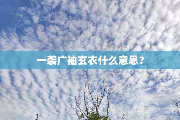 一袭广袖玄衣什么意思？