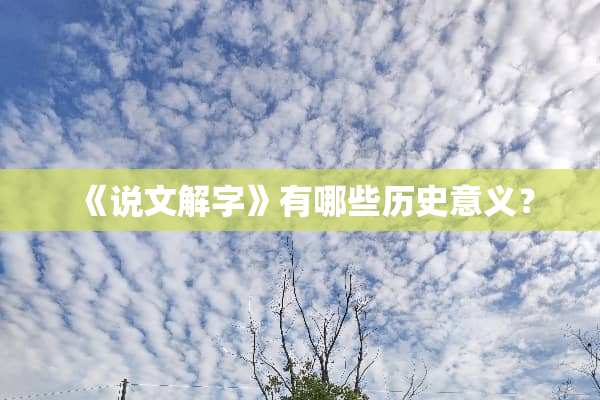 《说文解字》有哪些历史意义？